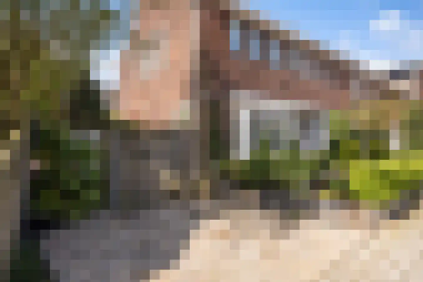 Karekietstraat 1 Gouda thumbnail 6
