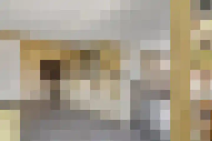 Karekietstraat 14 Schelluinen thumbnail 10
