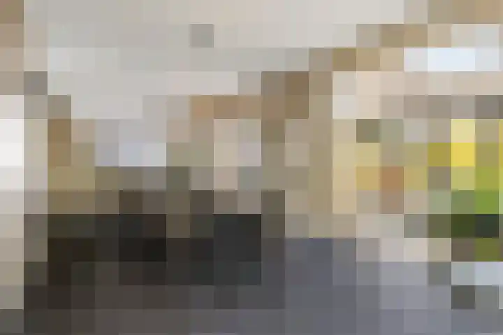 Karekietstraat 14 Schelluinen thumbnail 11