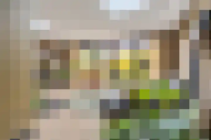 Karekietstraat 14 Schelluinen thumbnail 13