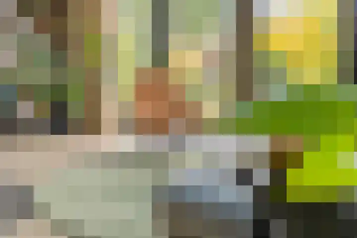 Karekietstraat 14 Schelluinen thumbnail 14