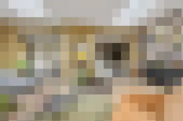 Karekietstraat 14 Schelluinen thumbnail 15
