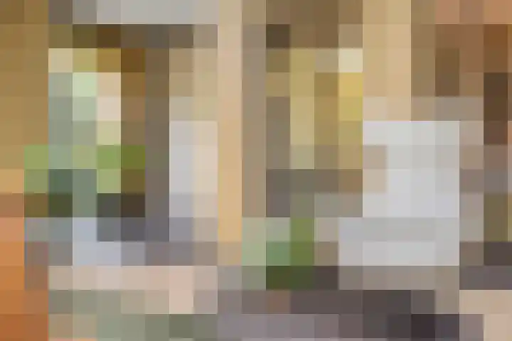 Karekietstraat 14 Schelluinen thumbnail 16