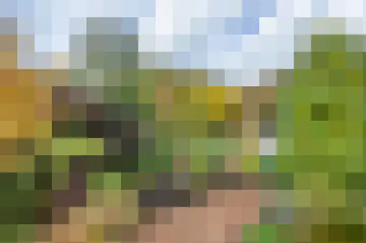 Karekietstraat 14 Schelluinen thumbnail 17