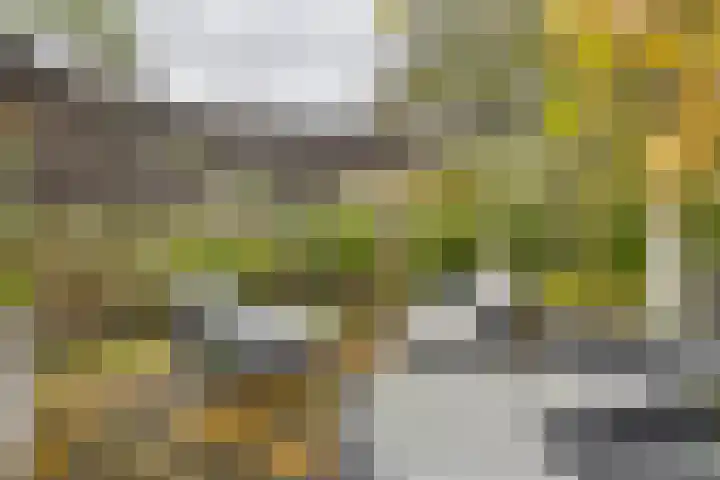 Karekietstraat 14 Schelluinen thumbnail 19