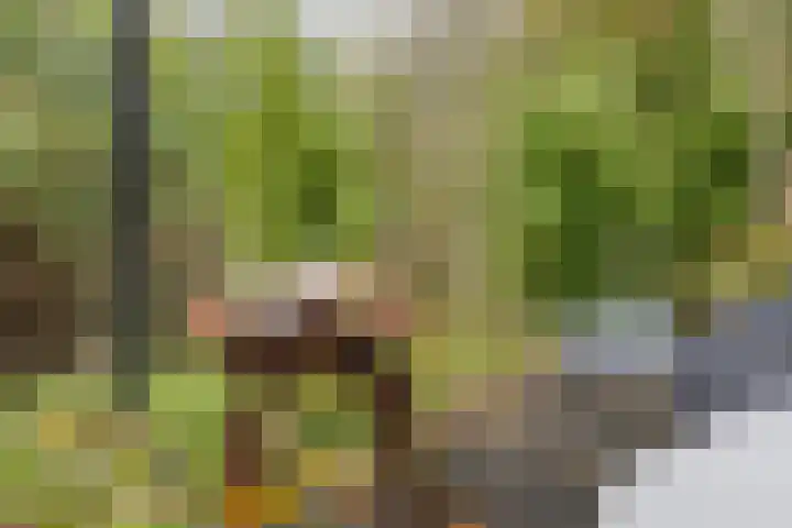 Karekietstraat 14 Schelluinen thumbnail 20