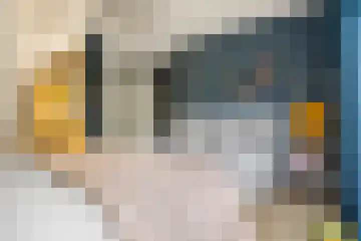 Karekietstraat 14 Schelluinen thumbnail 25