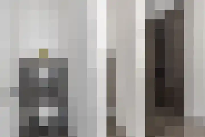Karekietstraat 14 Schelluinen thumbnail 29