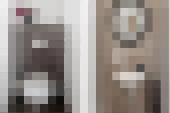 Karekietstraat 14 Schelluinen thumbnail 33