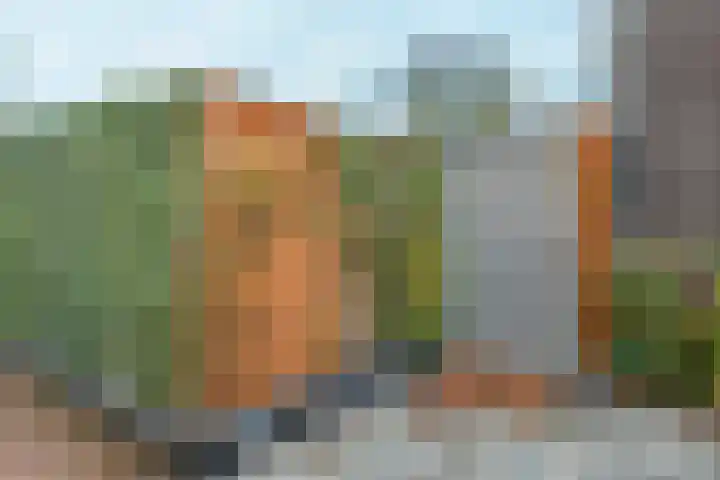 Karekietstraat 14 Schelluinen thumbnail 36