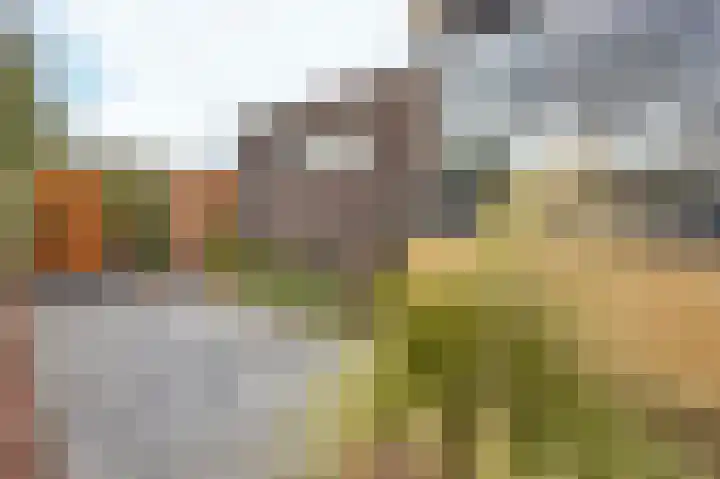 Karekietstraat 14 Schelluinen thumbnail 37
