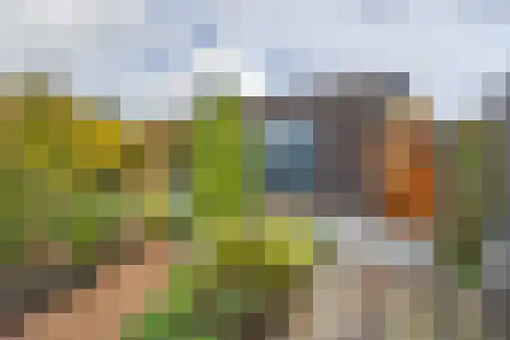 Karekietstraat 14 Schelluinen thumbnail 4