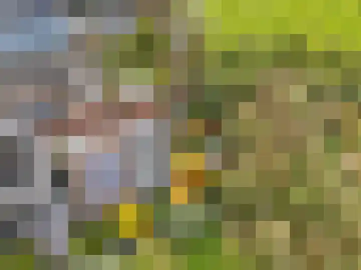 Karekietstraat 14 Schelluinen thumbnail 5