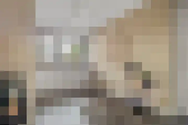 Karekietstraat 14 Schelluinen thumbnail 6