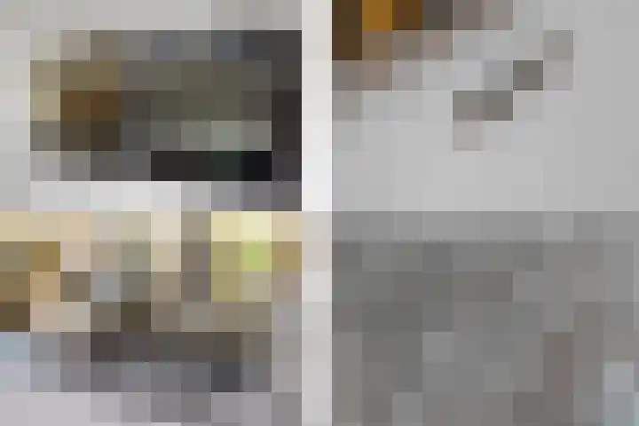 Karekietstraat 14 Schelluinen thumbnail 7
