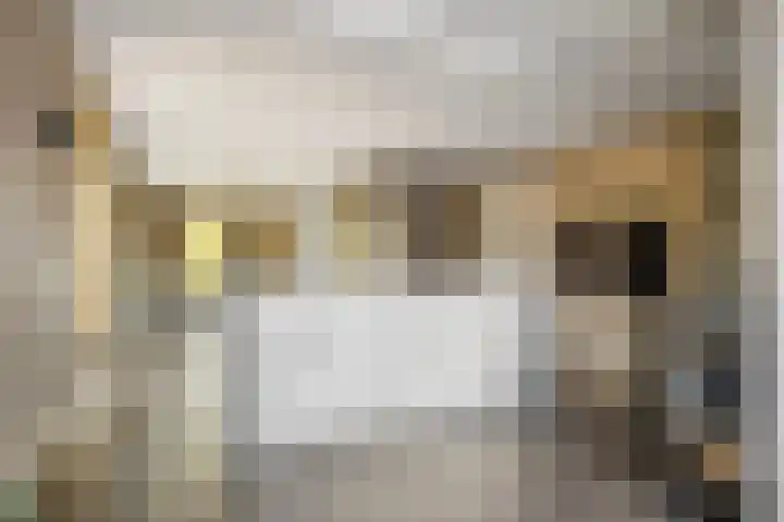 Karekietstraat 14 Schelluinen thumbnail 9