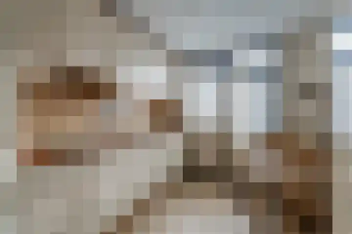 Karekietstraat 17 Zwartsluis thumbnail 15