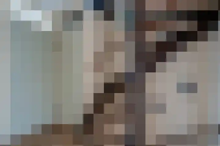 Karekietstraat 17 Zwartsluis thumbnail 22