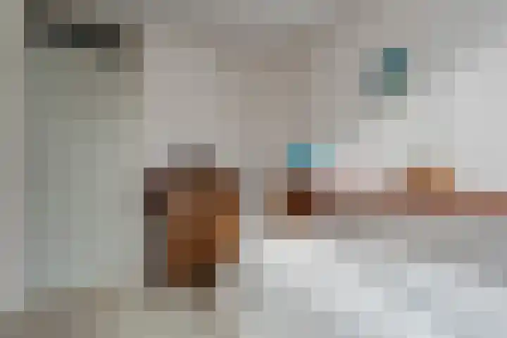 Karekietstraat 17 Zwartsluis thumbnail 25