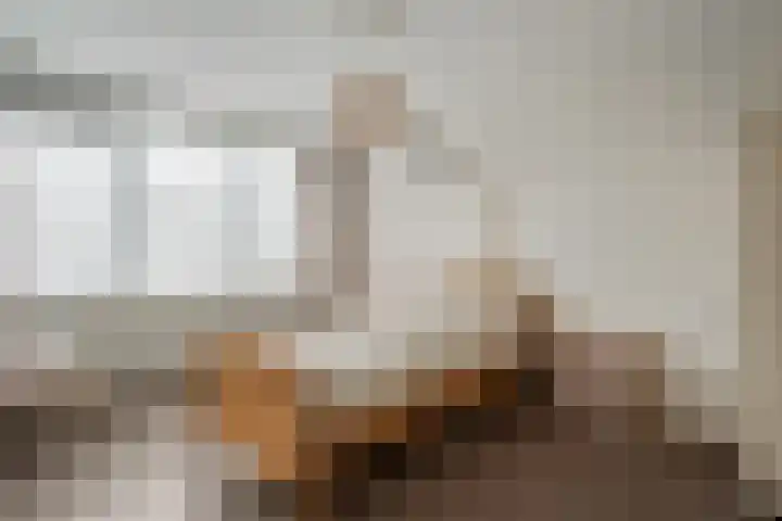 Karekietstraat 17 Zwartsluis thumbnail 26