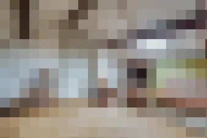 Karekietstraat 17 Zwartsluis thumbnail 33