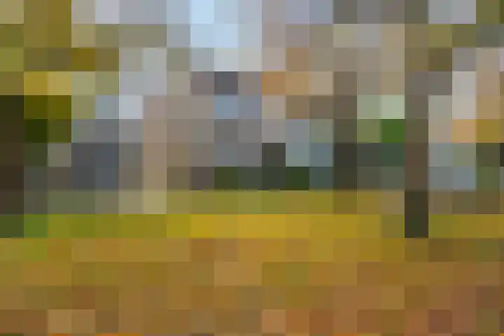 Karekietstraat 17 Zwartsluis thumbnail 4