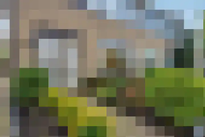 Karekietstraat 17 Zwartsluis thumbnail 5