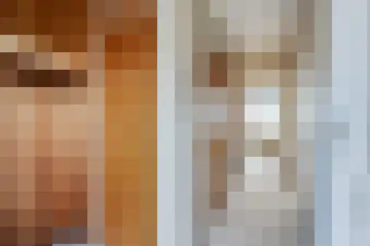 Karekietstraat 17 Zwartsluis thumbnail 6
