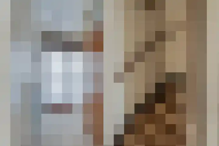 Karekietstraat 17 Zwartsluis thumbnail 8