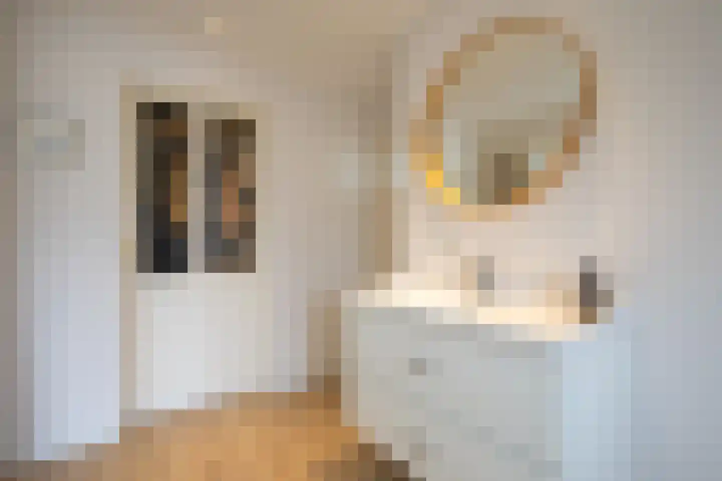 Karekietstraat 26 Aalsmeer thumbnail 21
