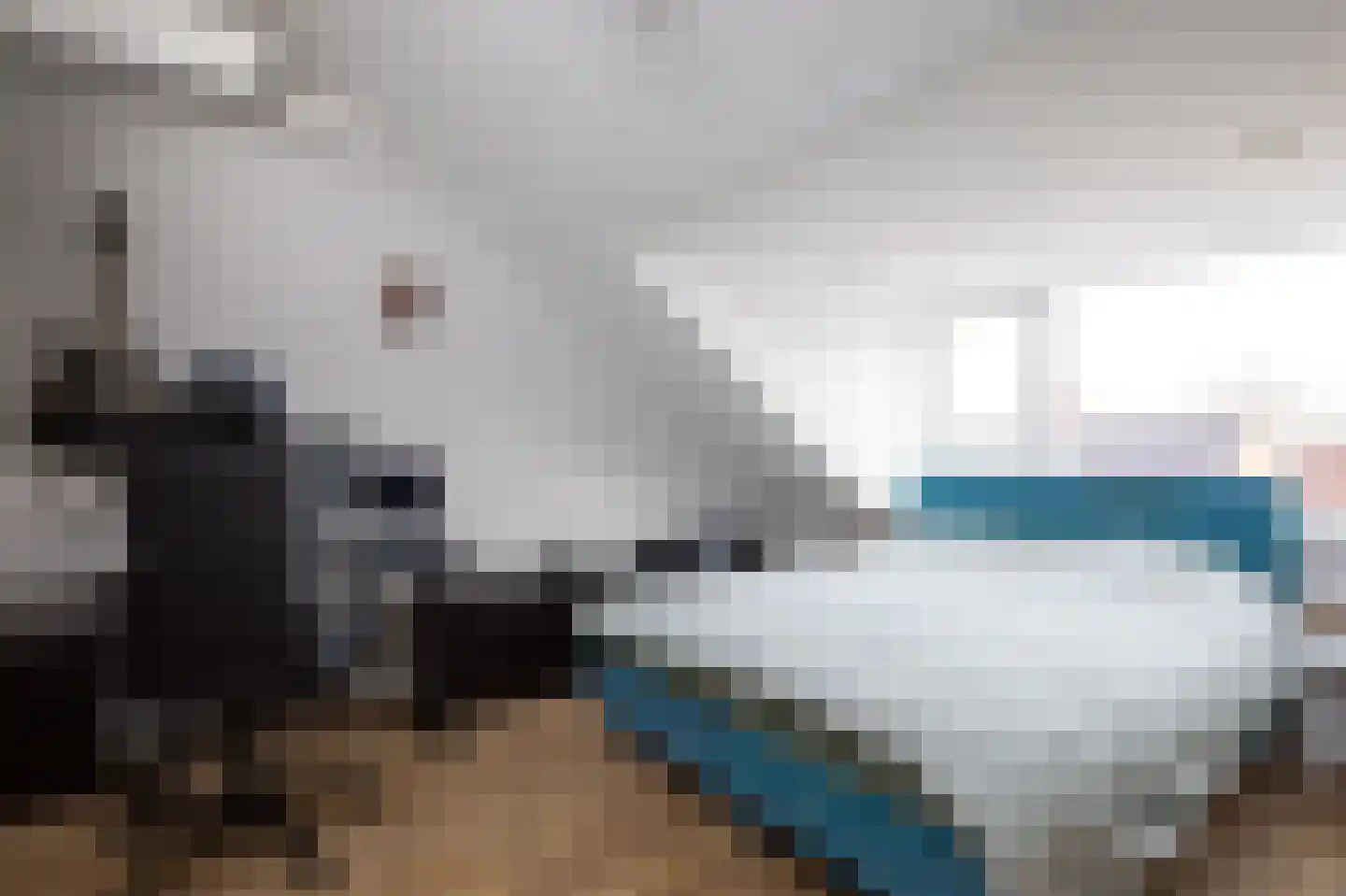 Karekietstraat 26 Aalsmeer thumbnail 30