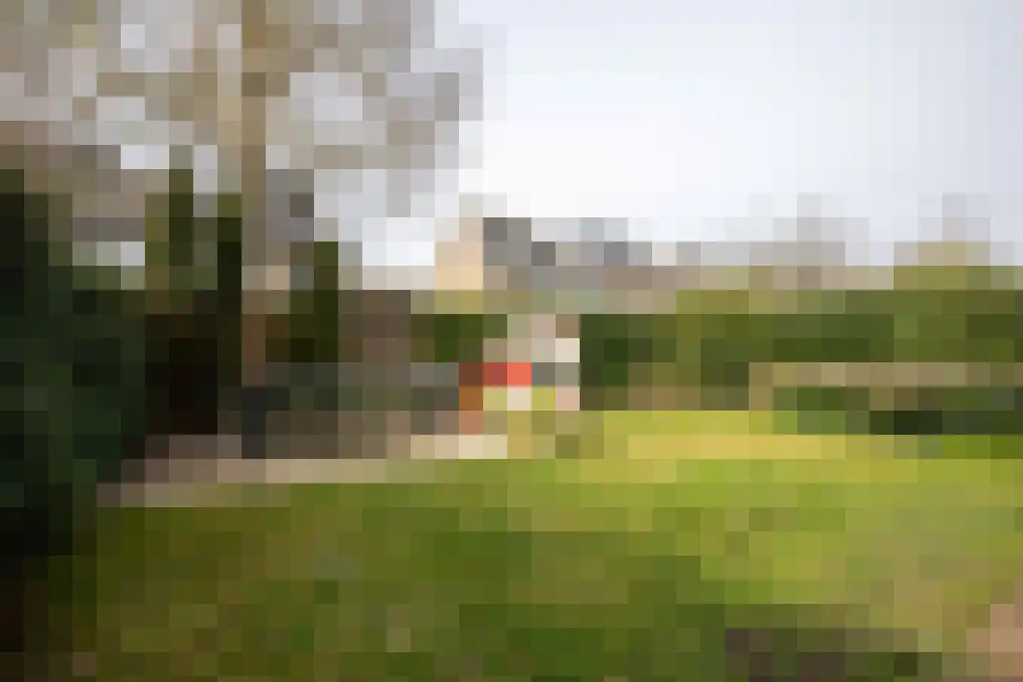 Karekietstraat 26 Aalsmeer thumbnail 34