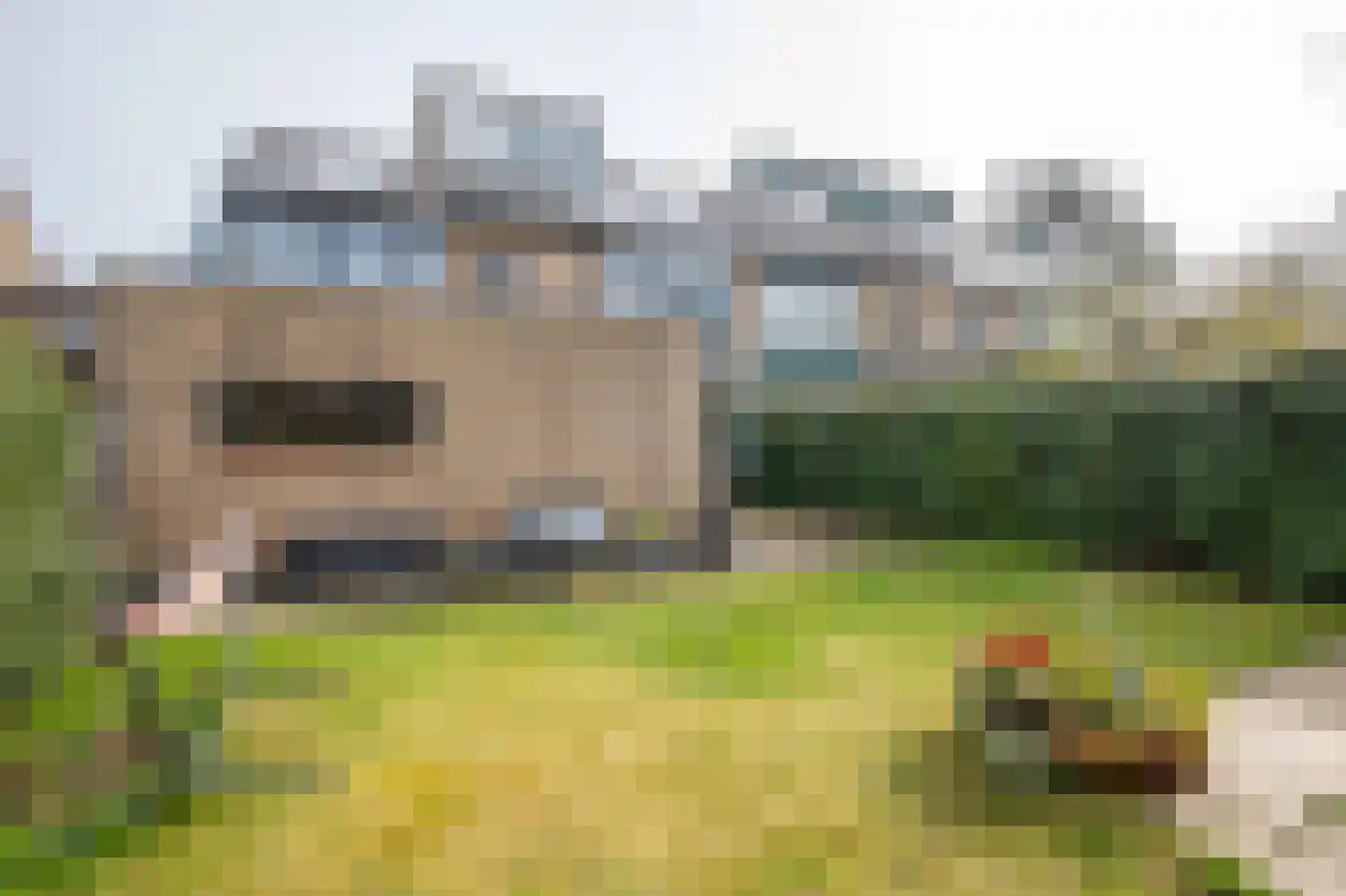 Karekietstraat 26 Aalsmeer thumbnail 36