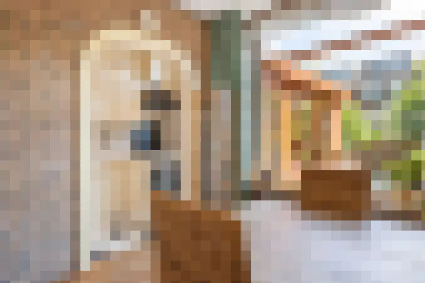 Karekietstraat 26 Gouda thumbnail 18