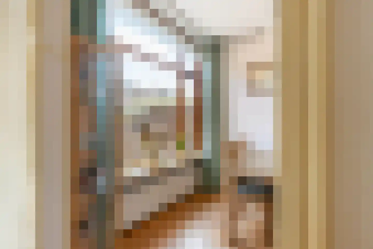 Karekietstraat 26 Gouda thumbnail 25