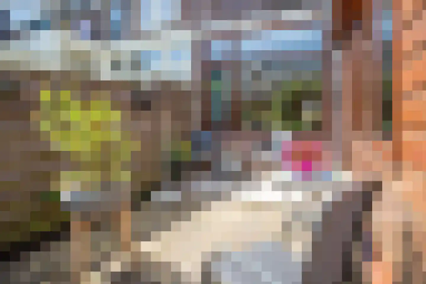 Karekietstraat 26 Gouda thumbnail 33