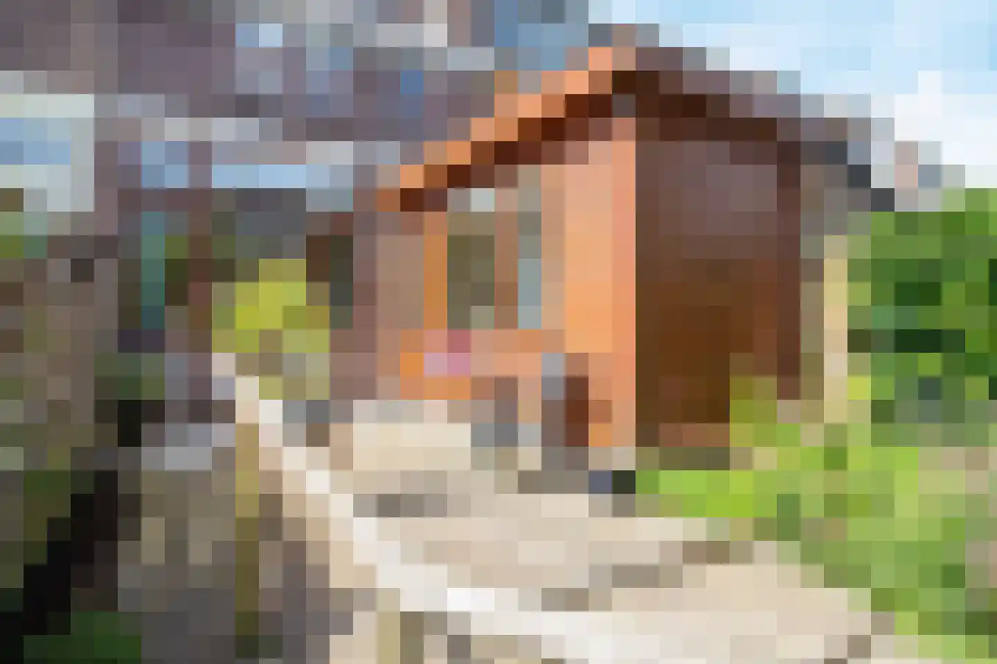 Karekietstraat 26 Gouda thumbnail 34