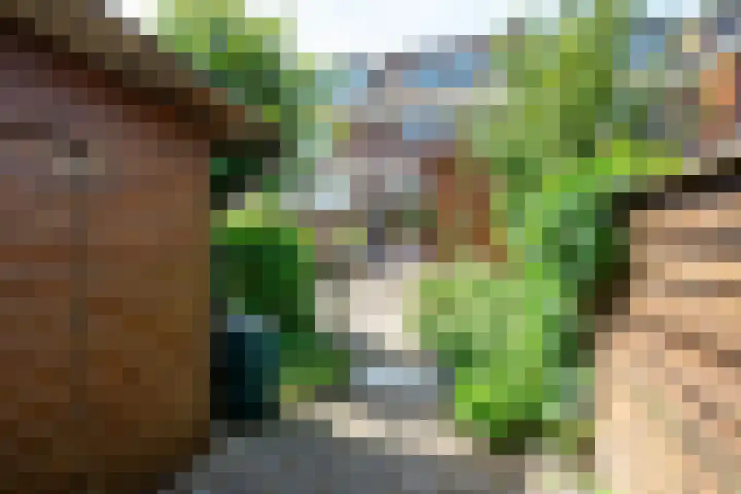 Karekietstraat 26 Gouda thumbnail 35