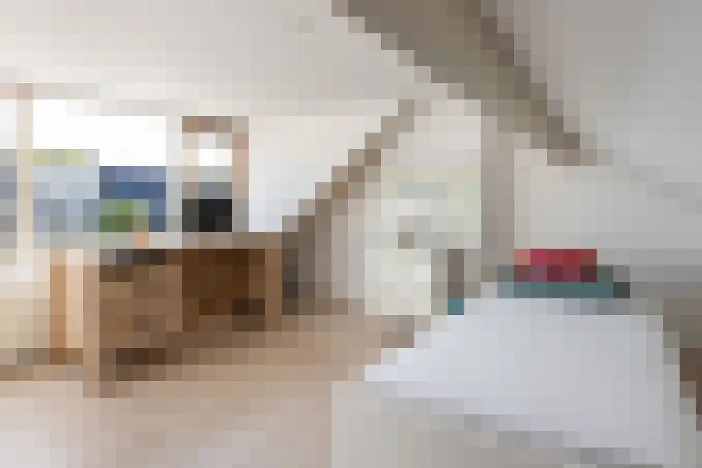 Karekietstraat 26 Gouda thumbnail 4