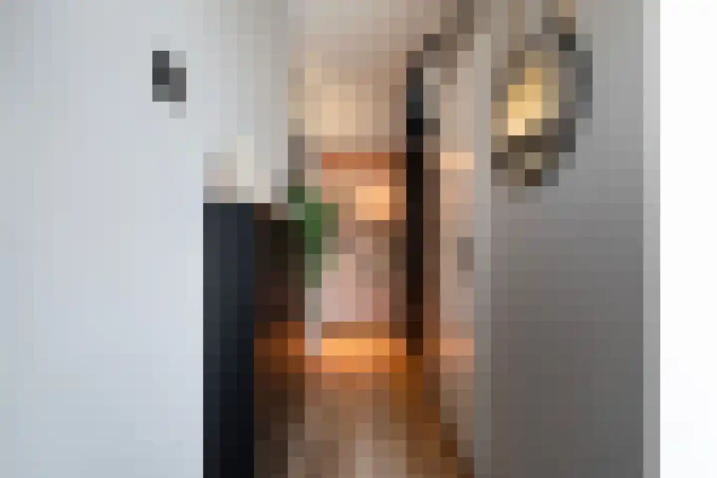 Karekietstraat 3 Anna Paulowna thumbnail 6