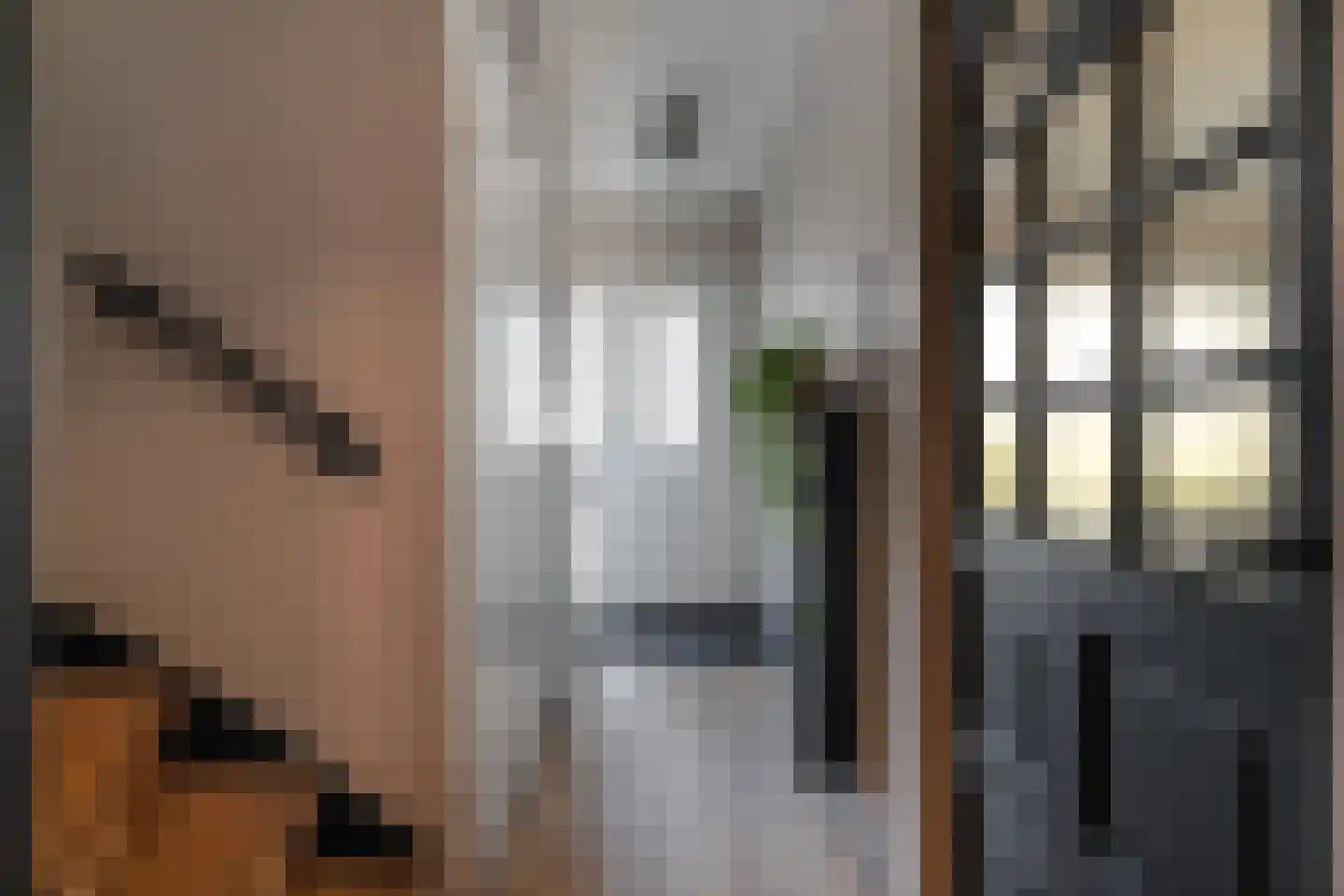 Karekietstraat 3 Anna Paulowna thumbnail 7