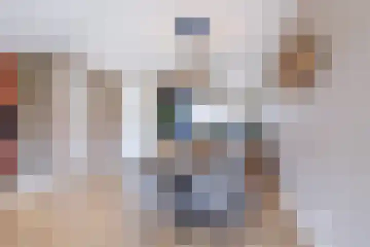 Karekietstraat 3 Heerhugowaard thumbnail 13