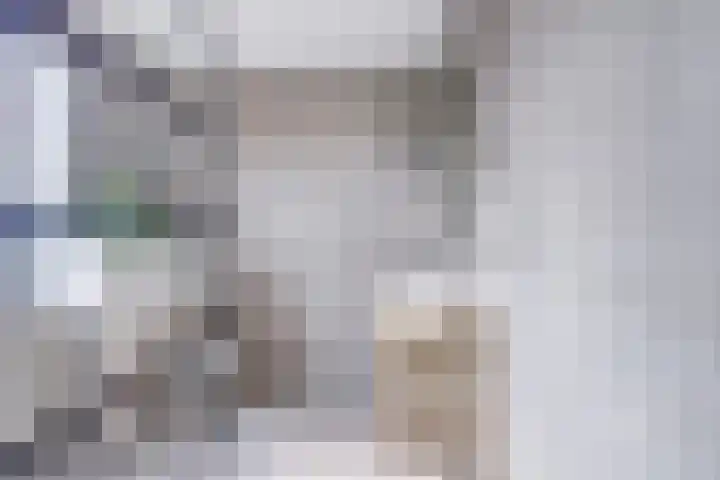 Karekietstraat 3 Heerhugowaard thumbnail 26