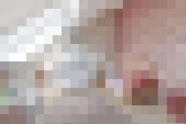 Karekietstraat 3 Heerhugowaard thumbnail 32