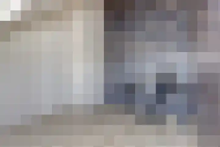Karekietstraat 3 Heerhugowaard thumbnail 34