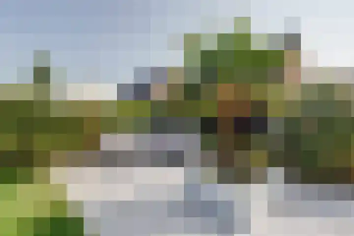 Karekietstraat 3 Heerhugowaard thumbnail 38