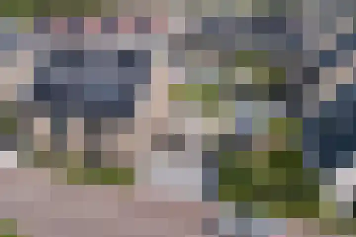 Karekietstraat 3 Heerhugowaard thumbnail 44