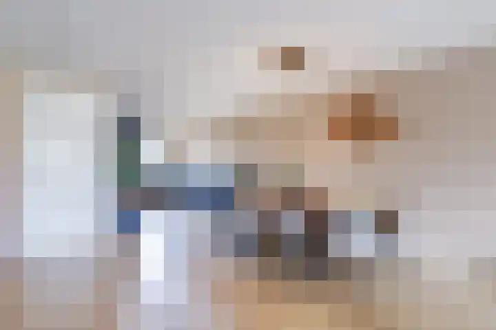 Karekietstraat 3 Heerhugowaard thumbnail 5