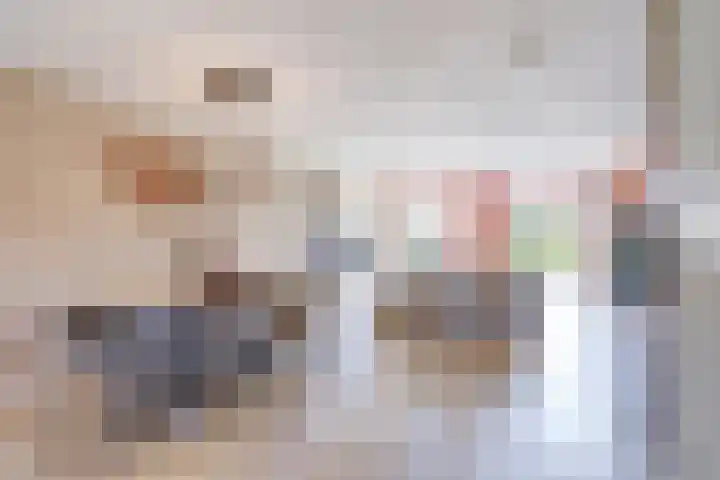 Karekietstraat 3 Heerhugowaard thumbnail 6