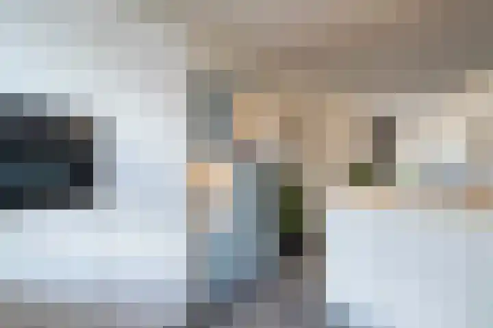 Karekietstraat 3 Schelluinen thumbnail 11